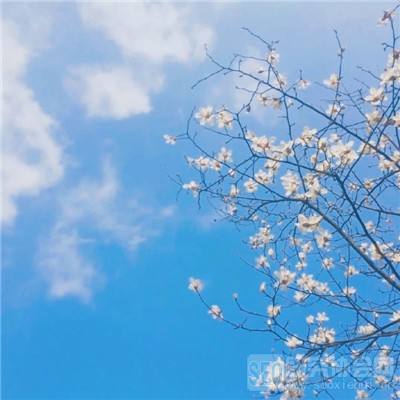 幸运彩票手机app下载截图