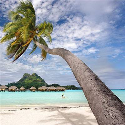 天天中彩票Welcome在线购彩